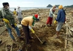 Rettungsarbeiter bergen am Strand nahe der Ortschaft Leupung in der Provinz Aceh in Indonesien die Leichen von Tsunamiopfern. (Foto: dpa)