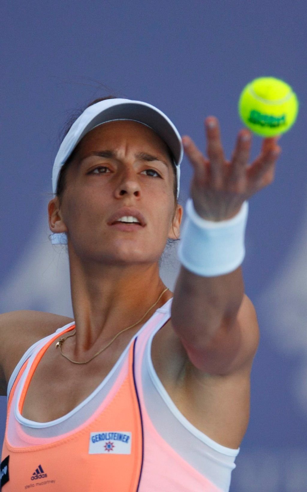 Andrea Petkovic will 2014 nochmal angreifen.