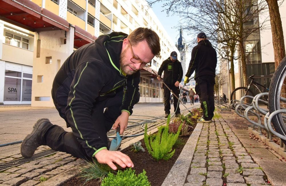 Arvid Brinkmann (vorn) und seine Mitarbeiter (Fa. Gartenbau Brinkmann) haben in der Ratsgasse etwa 350 Pflanzen gepflanzt.