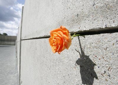 Eine Rose steckt am Donnerstag (13.08.2009) zum Gedenken an die Opfer des Mauerbaus vom 13.08.1961 an der Mauergedenkstätte an der Bernauer Straße in Berlin. Vor 48 Jahren hatten Grenztruppen der DDR den Ostteil der Stadt vom Westteil abgeriegelt und angefangen die Mauer zu errichten. (FOTO: DPA)