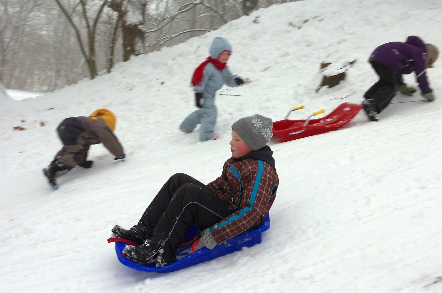 Bei der großen Winterparty im Schlosspark in Droyßig war wieder jede Menge Spaß angesagt.