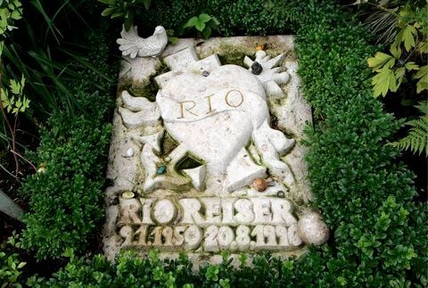 Nur ein paar Kilometer südlich der deutsch-dänischen Grenze ruht in Fresenhagen inmitten des beschaulichen Nordfrieslands seit zehn Jahren Ralph Möbius, bekannter unter seinem Künstlernamen Rio Reiser. (FOTO: DDP/ARCHIV)