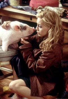 Molly (Brittany Murphy) spielt in dem neuen Film "Uptown Girls - Eine Zicke kommt selten allein" mit ihrem Hausschwein (Szenenfoto). Zicken jeden Alters und deren Verhalten sind der thematische Schwerpunkt der Komödie von Regisseur Boaz Yakin. Molly hat als Tocher einer Rocklegende einen sicheren Stand in der New Yorker Gesellschaft, doch als sie ihr gesamten Vermögen verliert, muss sie lernen, auf eigenen Beinen zu stehen. Starttermin des Films ist der 19.02.2004. (Foto: dpa)