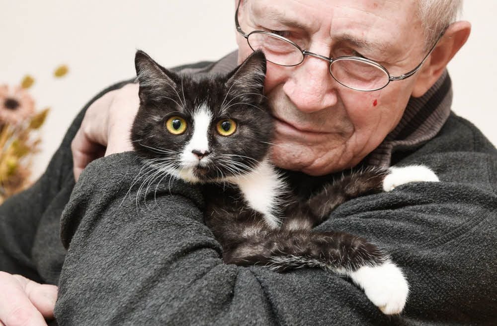 Gerade erst fünf Monate ist Bernhard Baldaufs Katze Milly alt, als sie die Unterschenkel ihrer Hinterbeine verliert.