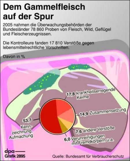 Dem Gammelfleisch auf der Spur - Art der Verstöße gegen gesetzliche Auflagen (Grafik: dpa)