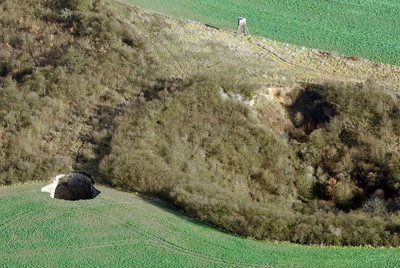 Der Krater (l.) eines zwölf Meter tief abgesackten Ackers, aufgenommen am Donnerstag in der Nähe von Rottleben bei Bad Frankenhausen im Kyffhäuserkreis. (FOTO: DDP)