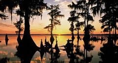 Die Landschaft verändert sich ständig - niemand weiß, wie lang genau die Küste am Mississippi-Delta ist, an der sich so schöne Sonnenuntergänge wie dieser bestaunen lassen. (Foto: dpa)