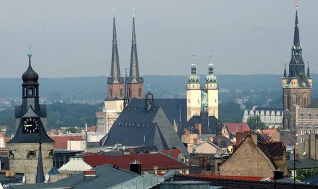 In Halle nehmen immer mehr Bürger die Probleme selbst in die Hand. (ARCHIVFOTO: DPA)
