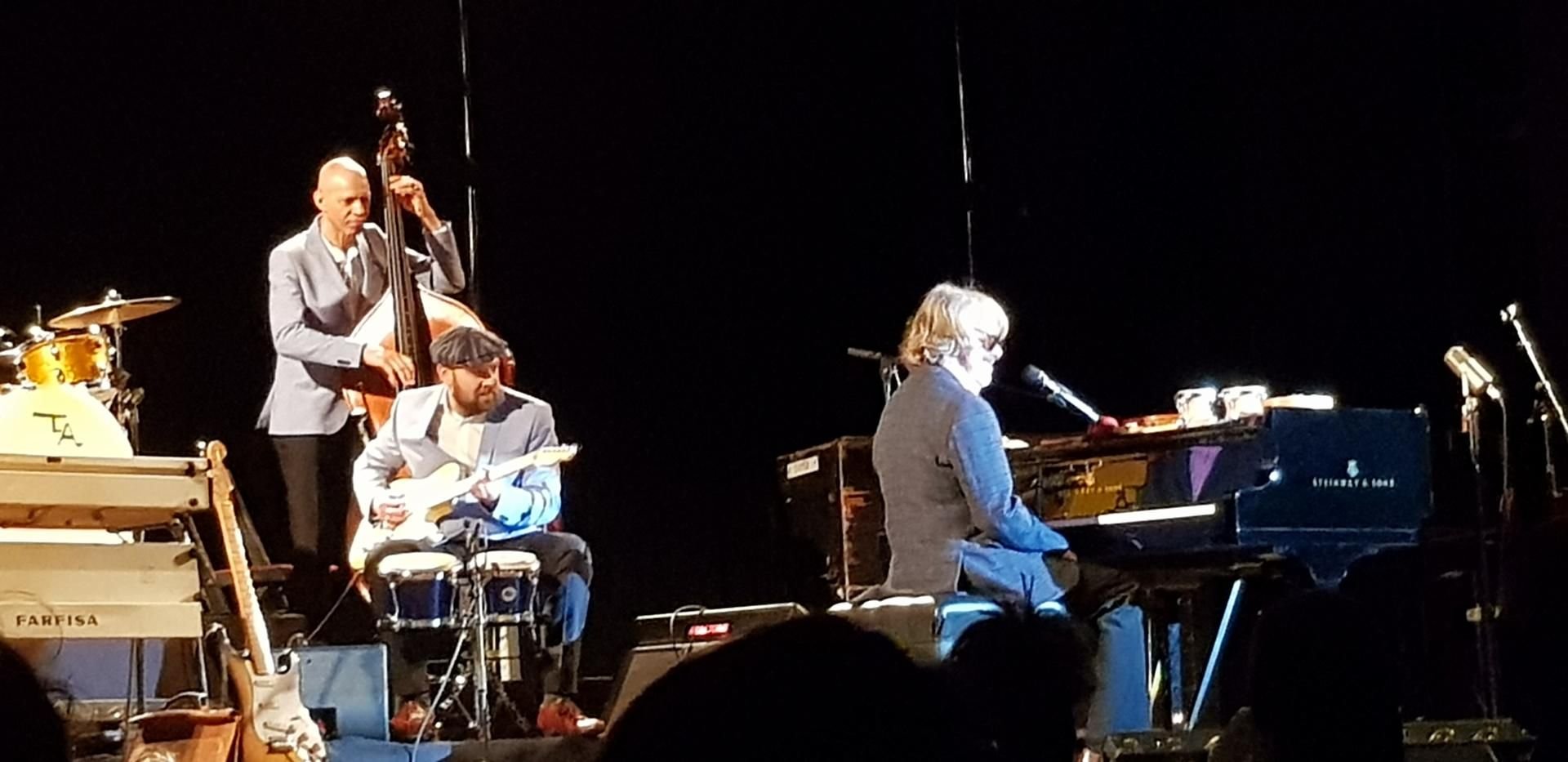 Helge Schneider im Steintor