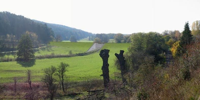 Hier im Quernetal wird der grüne Erddamm entstehen.