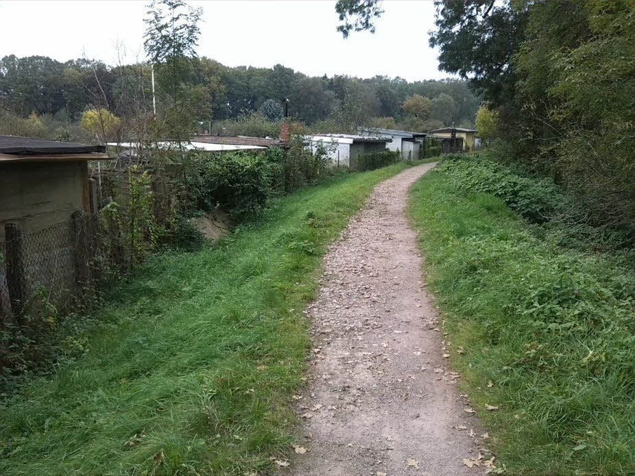 Der Weg auf dem Deich zwischen Mulde und der Kleingartenanlage Am Schillerpark.