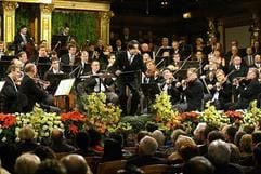 Die Wiener Philharmoniker spielen am Neujahrstag unter Leitung des italienischen Stardirigenten Riccardo Muti im Goldenen Saal des Musikvereins in der österreichischen Hauptstadt. (Foto: dpa)