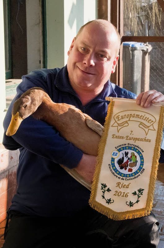 Jens Engelmann ist begeisterter Züchter von Orpington-Enten. Im Foto links zeigt der 42-Jährige den Europameister-Wimpel und eine seiner preisgekrönten Enten. Neben Orpington züchtet der Zöschener auch weiße Vorster-Enten (rechts).