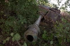 Deutsche Wehrmachtspanzer «bewachen» Bulgariens Grenze. (Foto: dpa)