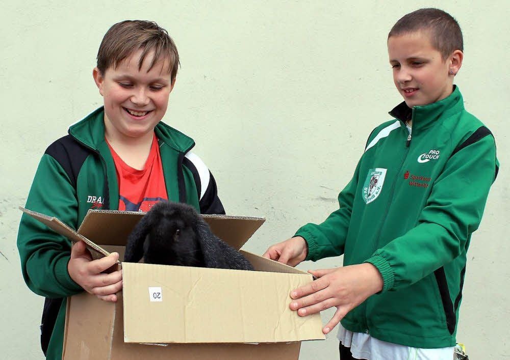 Ein glückliches Händchen hatte Paul Mätschke (l.). Der Elfjährige gewann diesen schwarzen Hoppler. Beim Transport zum Pkw seiner Mutter hatten er und Freund Jonny Bader aus Löben Mühe, das Langohr zu bändigen.