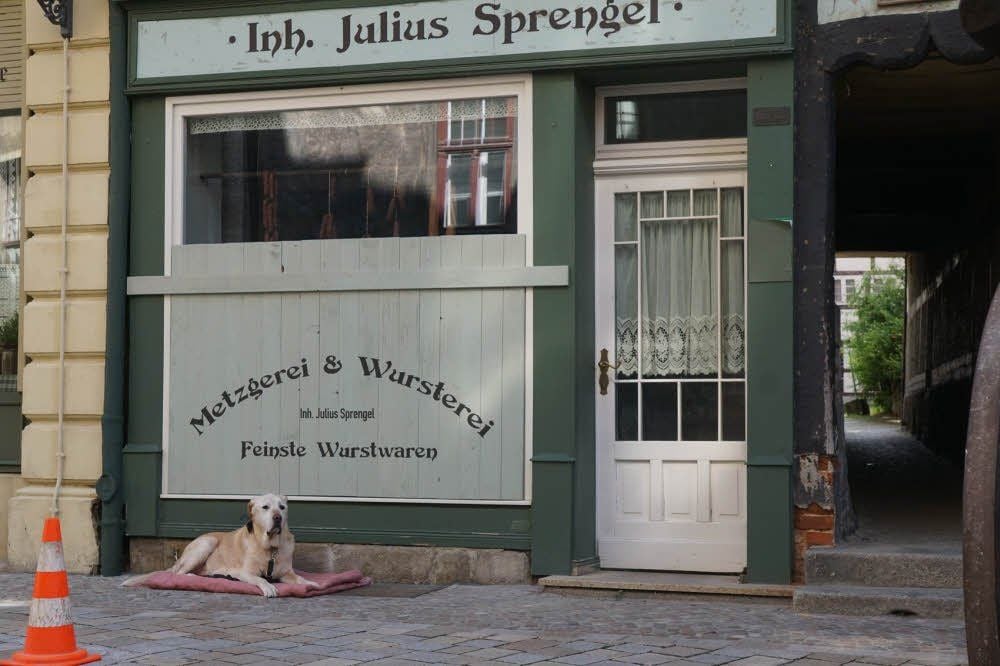 Ein Hund hat schon seinen Stammplatz gefunden – vor dem Laden von Messer-Benecke, neben dem Durchgang zum Schuhhof, in den Fleisch und Wurstwaren eingezogen sind.