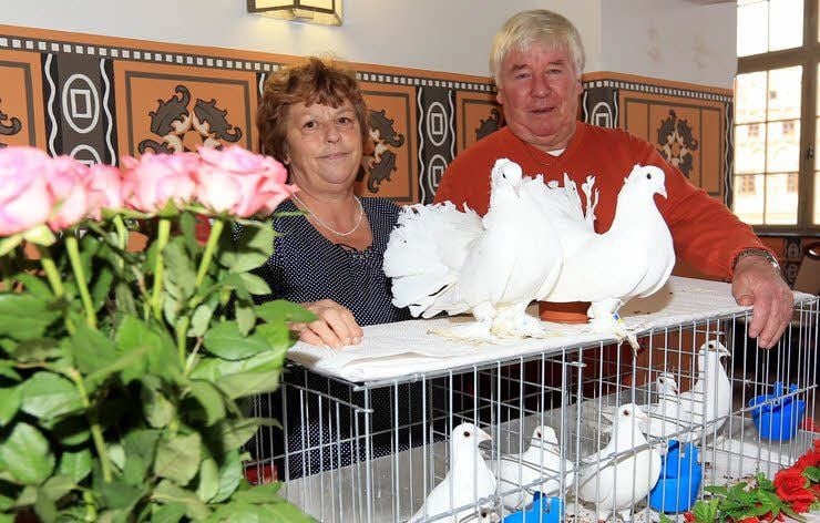 Gabriele Unger und Winfried Hausmann können mit ihren Tauben für Hochzeiten und andere Feste gebucht werden.