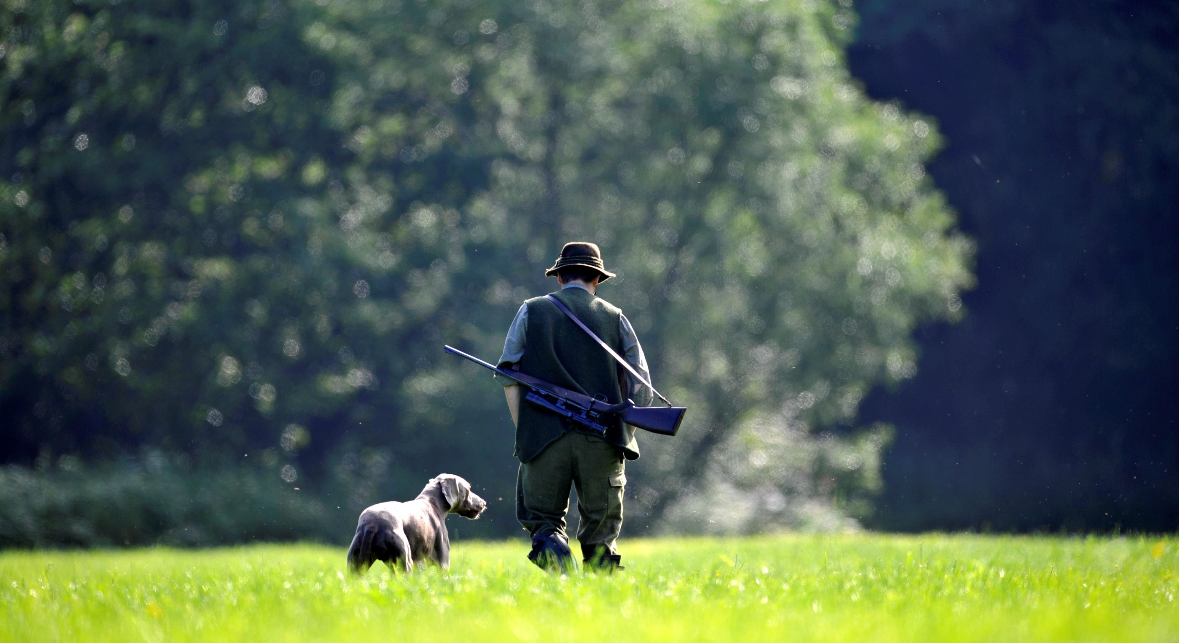 Ein durch Wildschweine übertragener Virus führt zur Aujeskyschen Krankheit und ist für Hunde und Katzen tödlich.