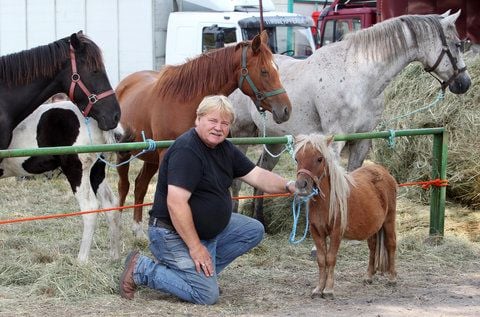 Züchter mit Falabella-Pony. Zum traditionellen Havelberger Pferdemarktes werden nach Veranstalterangaben etwa 200.000 Besucher erwartet. (FOTO: DAPD)