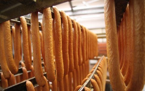 Frisch geräucherte Würstchen im Naturdarm hängen in Halberstadt in der Halberstädter Würstchen- und Konservenfabrik.