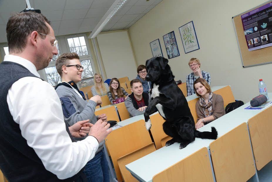 Vor allem auf Körpersprache reagiert der Hund Socke. Davon ausgehend erklärt Hundetrainer Thomas Winkler (links) Schülern des Zeitzer Gymnasiums die Bedeutung von Mimik, Gestik und Ausstrahlung für die Wahrnehmung der eigenen Persönlichkeit.