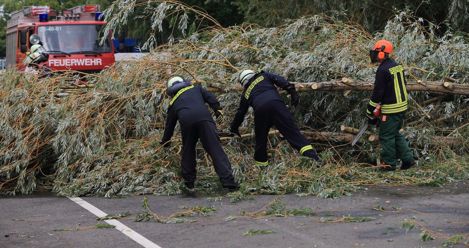 Einsatzkräfte einer Freiwilligen Feuerwehr räumen am 15.08.2015 einen Baum von einer Straße in Magdeburg (Sachsen-Anhalt).