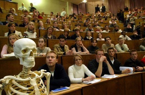 Erstsemester-Studenten der Fachrichtung Medizin sitzen in einem Hörsaal. (ARCHIVFOTO: DDP)