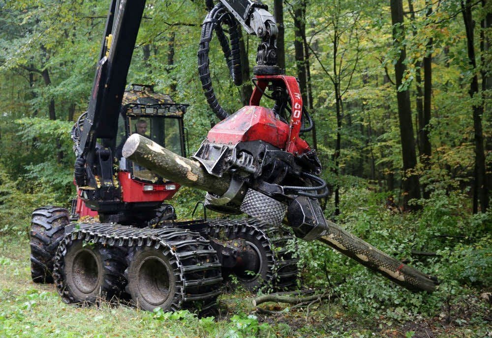 Ein Harvester, der im Ziegelrodaer Forst derzeit zur Holzernte eingesetzt wird.