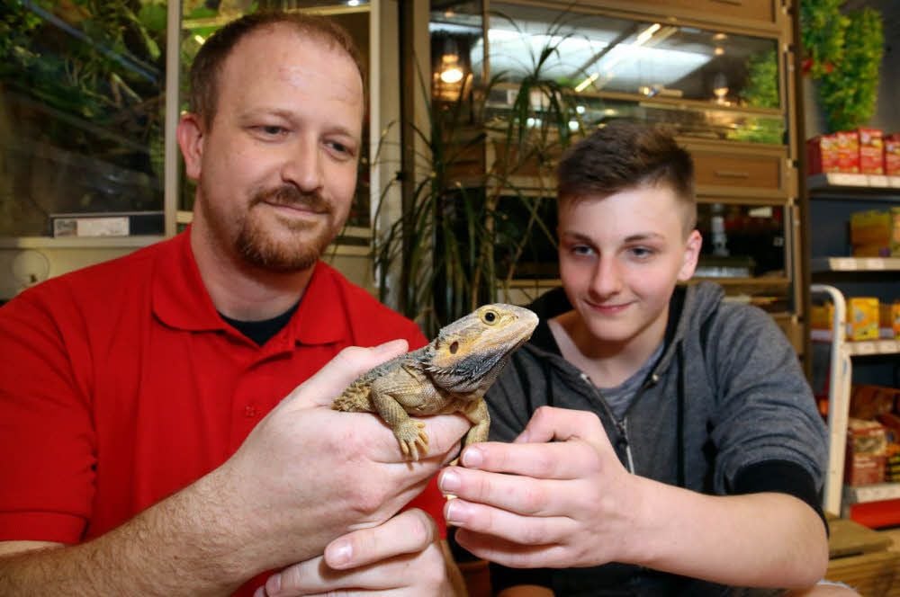 Matthias Göring (l.) zeigt Henry Schade anhand einer Bartagame, was bei Zoo&Co. zur Aufgabe eines Verkäufers gehört. Links: