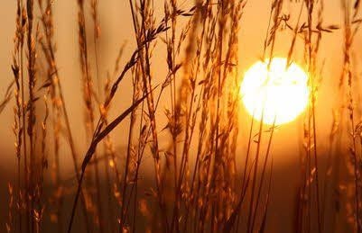 Die Sonne lachte im vergangenen Jahr besonders viel. Wie wird 2016?