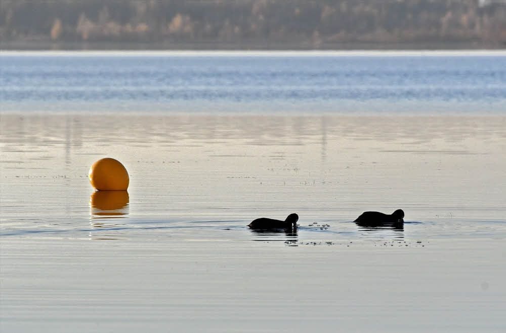 Am Geiseltalsee