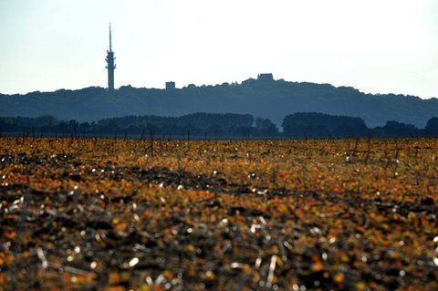 Blick auf den Petersberg. (FOTO: ARCHIV/MEINICKE)