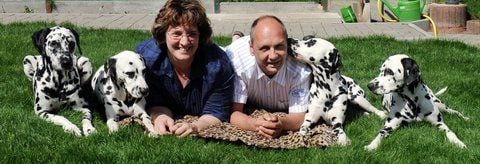 Änne und Uwe Fiedler mit ihren vier Dalmatiner-Hündinnen zu Hause in Löbejün. (FOTO: GÜNTER BAUER)