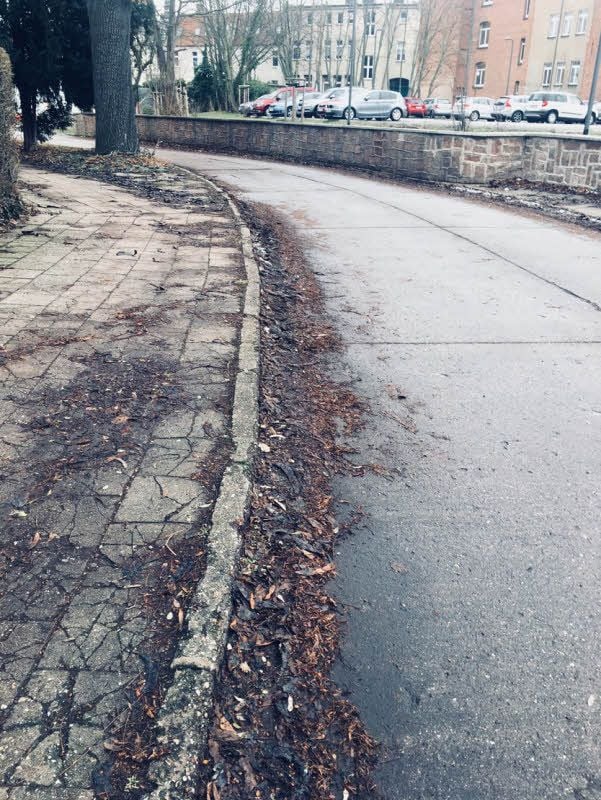 Zum Dreck kommt hinzu, dass der Gehweg arg ruiniert ist.