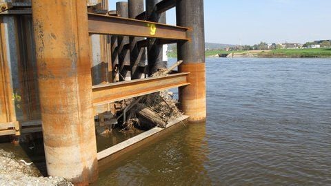 Der in Dresden aufgetauchte Elbebiber behindert nicht den Bau der Waldschlößchenbrücke. Die Stadt erteilte Spekulationen um eine Bauverzögerung eine Absage. (FOTO: DPA)