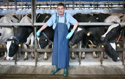 Melker Fritz Schubert posiert in einem Stall in Liptitz bei Leipzig vor Kuehen. (FOTO: DPA)