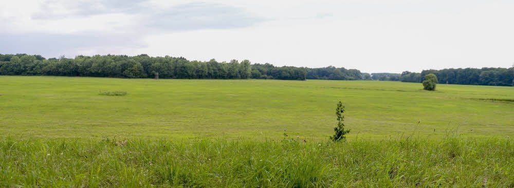 Die freie Sicht vom Wallwachhaus aus Richtung Elbe sollte durch den Deich nicht versperrt werden.