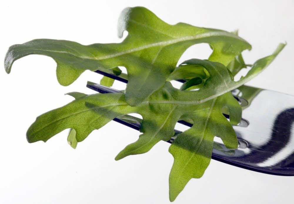 Rucola ist reich an Folsäure. Dieses B-Vitamin ist nicht nur für schwangere Frauen wichtig, sondern auch in der Lage, dem Herzinfarkt vorzubeugen.