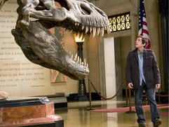 Der Nachtwächter im Museum of Natural History, Larry Daley (Ben Stiller), schaut auf den Kopf eines Dinosaurier-Skeletts im neuen Kinofilm "Nachts im Museum" (undatierte Filmszene). In der Action-Komödie werden die ausgestellten Tier-Skelette und Wachsfiguren nachts lebendig. Der Streifen kommt am 27. Dezember 2006 in die Kinos. (Foto: dpa)