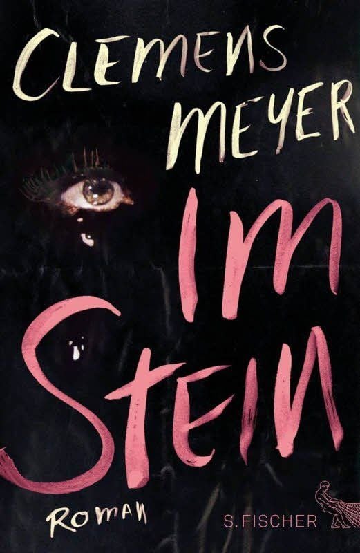 Clemens Meyer: Im Stein, S. Fischer, 560 Seiten, 22,99 Euro