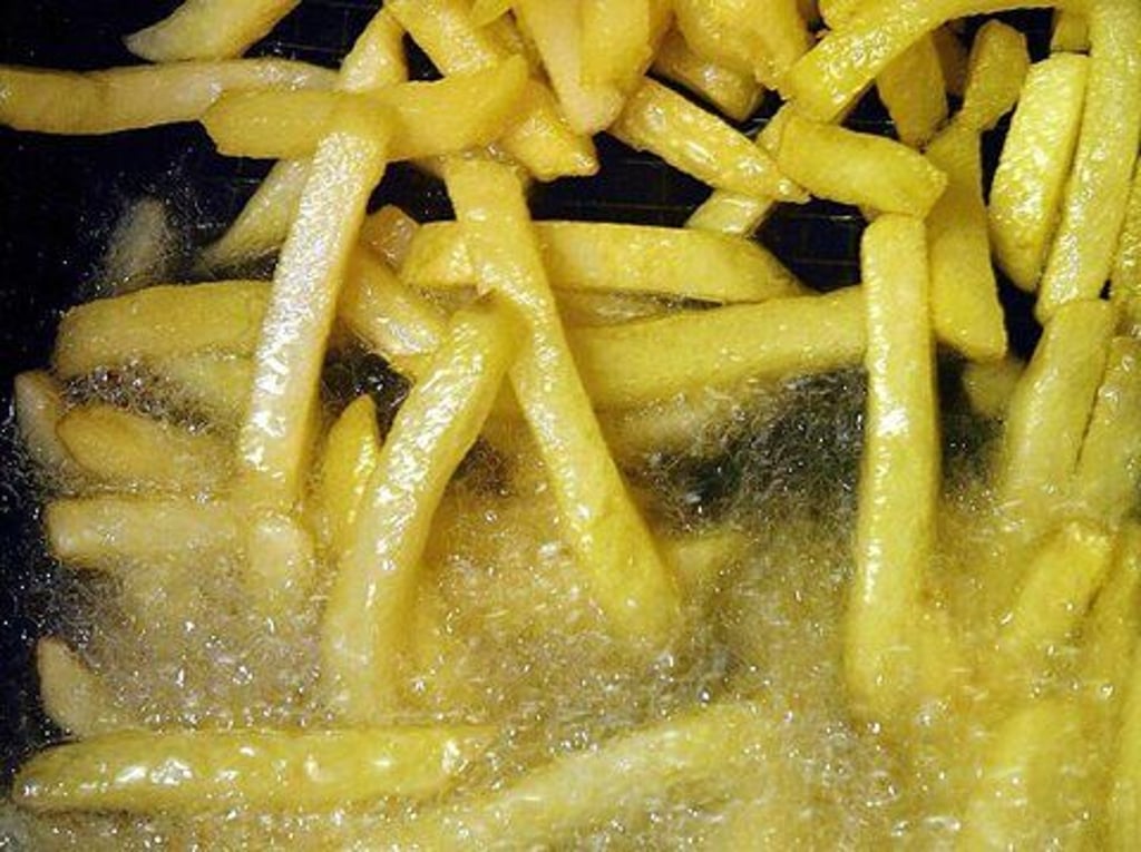 Bei der Zubereitung von Pommes kam es in einer Wohnung in Tangermünde zu einem Fettbrand.