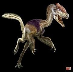 «Guanlong wucaii», der «gekrönte Drache», gilt jetzt als der älteste bekannte Vorfahre des gefürchteten Dinosauriers Tyrannosaurus Rex. (Foto: dpa)