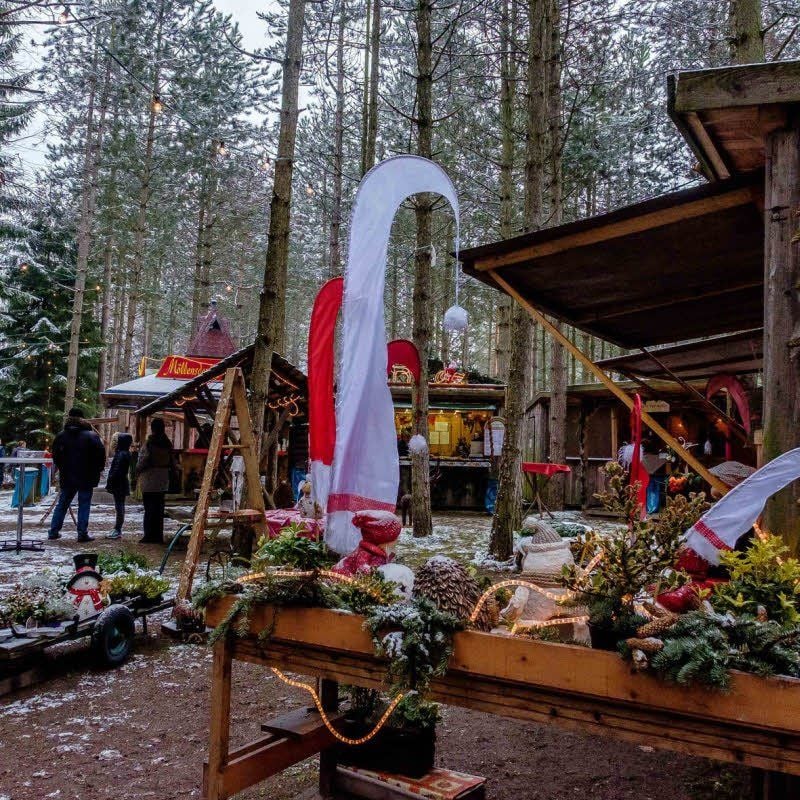 Lichterketten wiesen den Weg hin zu den Hütten mit Punsch und Bratwurst, Kuscheldecken und warmen Mützen.