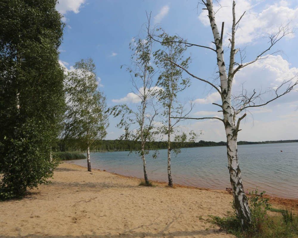 Der Sandstrand des Ludwigsees lädt nicht nur zum Burgen bauen ein, sondern auch zum Entspannen.