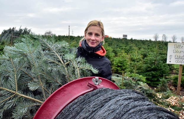 Christine Hennig verpackt die Weihnachtsbäume in einem Netz.