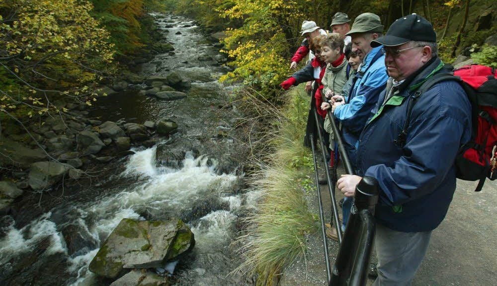 Zu den Routen der Sternwanderung des Harzklubs gehört auch eine Tour durch das Bodetal.