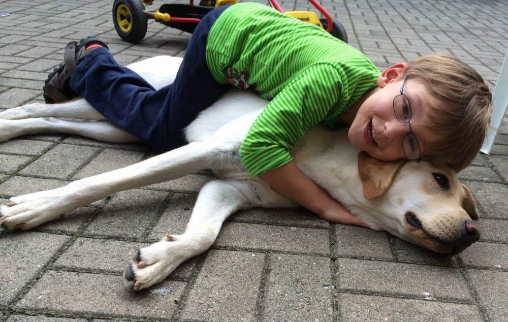 Von der ersten Minute an unzertrennlich: Der sechsjährige Hugo und Labrador-Hündin Cassy.