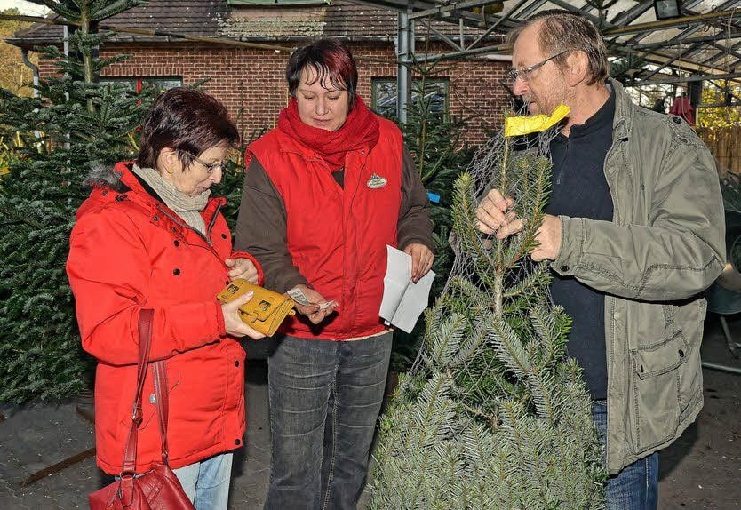 In der Gärtnerei Gebeler in Roßlau haben Veronika und Norbert Wetzel ihren Traumbaum gefunden.
