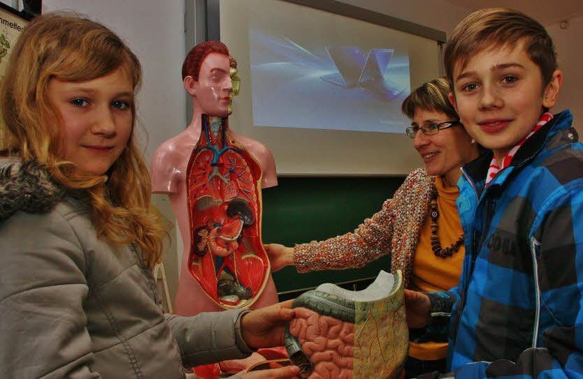 Heydi und Hannes werden von Anja Weber mit einem menschlichen Torso vertraut gemacht. Sie kommen im Sommer auf das Gymnasium.