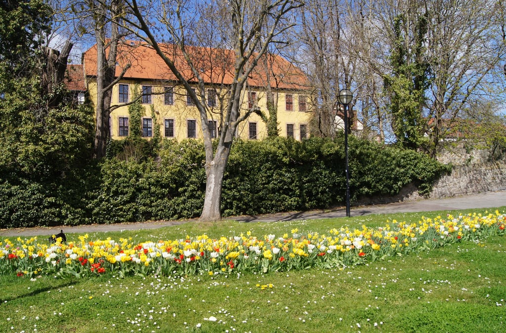 Das Bürgerhaus auf der Schlossdomäne zeigt sich romantisch, braucht aber dringend eine Sanierungskur.
